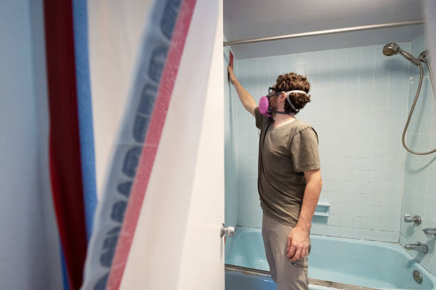 Cozad, NE Mold Removal Pros